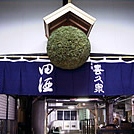 【青森/西田酒造店】田酒 純米吟醸 百四拾 紅葉  [720ml]